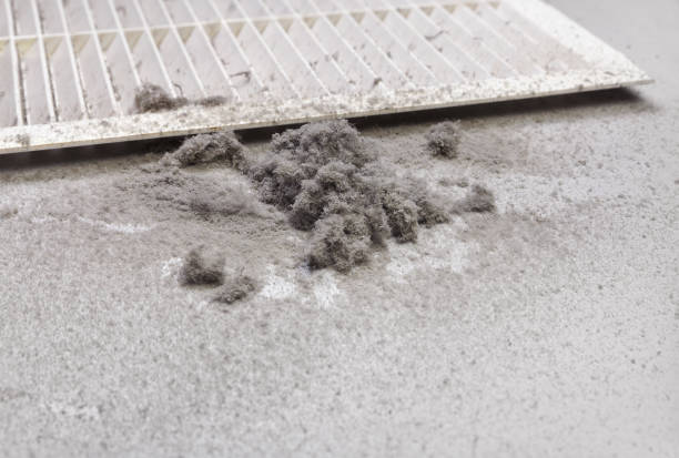 Best Air Duct Cleaning Company Near Me  in Mineola, NY