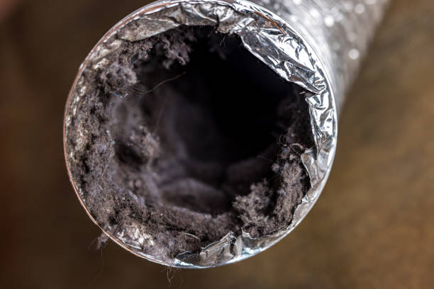 Best Home Air Vent Cleaning  in Mineola, NY