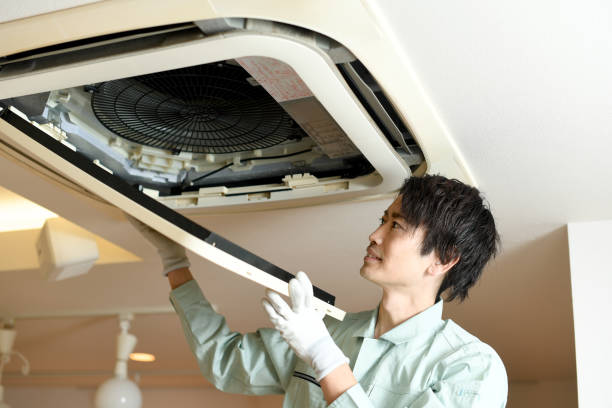 Best Ductwork Cleaning Services  in Mineola, NY