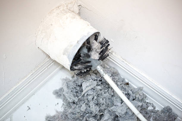 Best Professional Duct Cleaning Services  in Mineola, NY